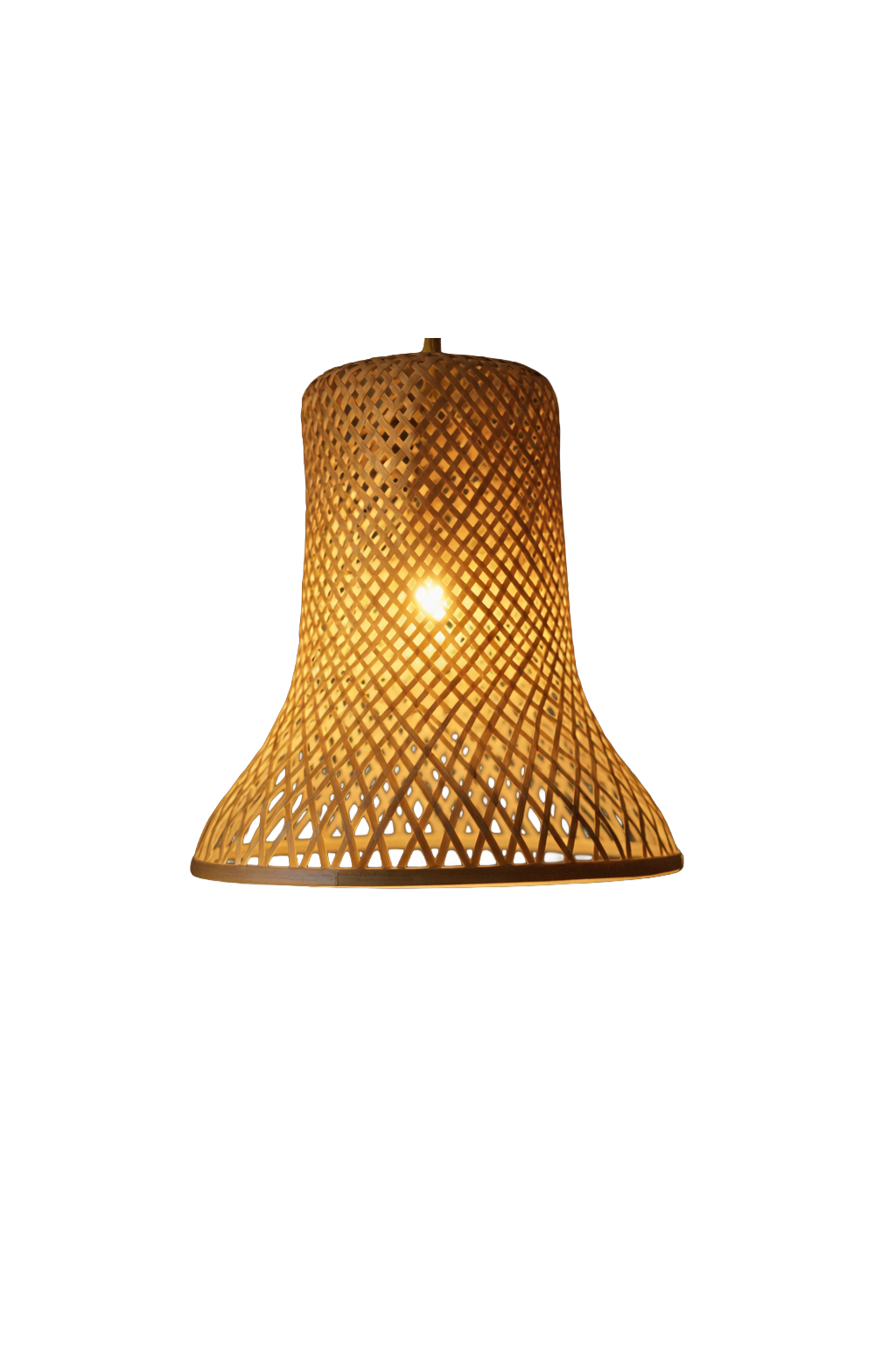 Hanging Lampshade