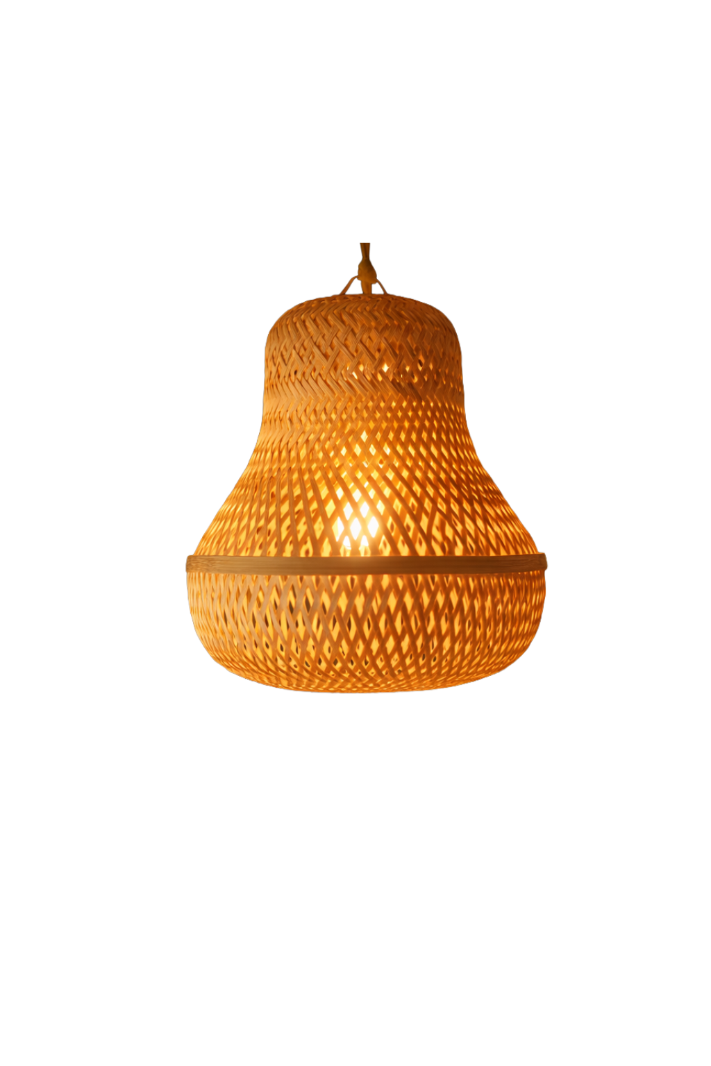 Hanging Lampshade